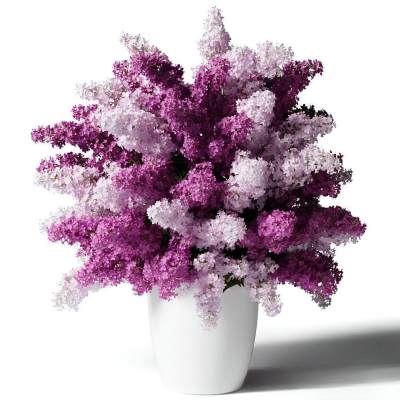 花瓶花艺-9